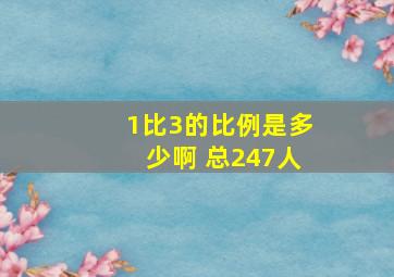 1比3的比例是多少啊 总247人